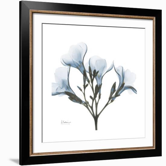 Soft Oleander-Albert Koetsier-Framed Giclee Print