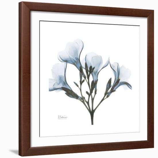 Soft Oleander-Albert Koetsier-Framed Giclee Print