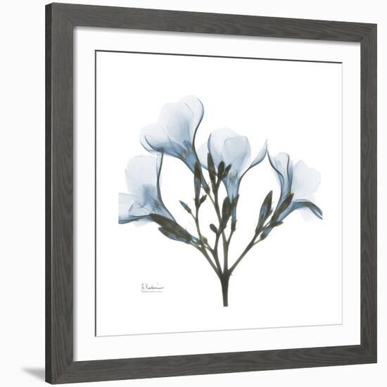 Soft Oleander-Albert Koetsier-Framed Giclee Print