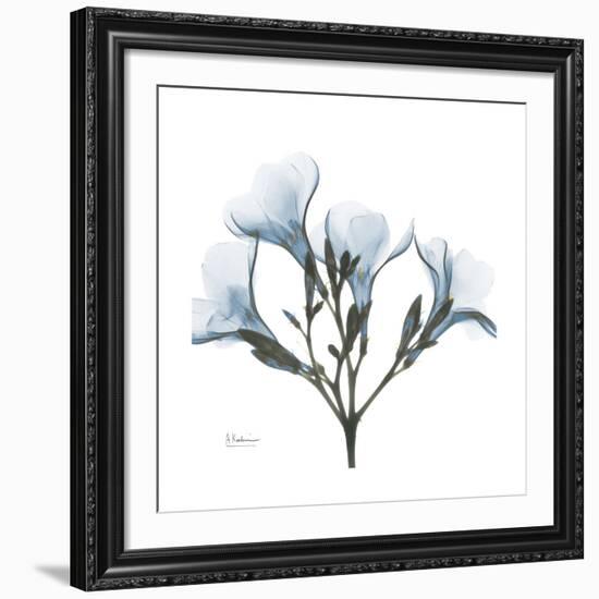 Soft Oleander-Albert Koetsier-Framed Giclee Print