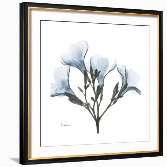 Soft Oleander-Albert Koetsier-Framed Giclee Print