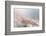 Soft pastel-Heidi Westum-Framed Photographic Print