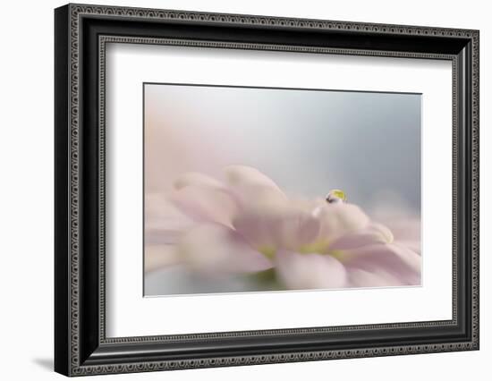 Soft pastel-Heidi Westum-Framed Photographic Print