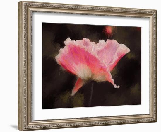 Soft Pink, 2018-Helen White-Framed Giclee Print