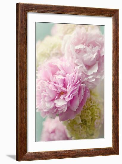 Soft Pink Blooms-Sarah Gardner-Framed Photo
