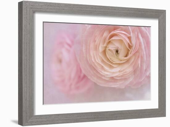 Soft Pink Flower Bouquet-Cora Niele-Framed Photographic Print