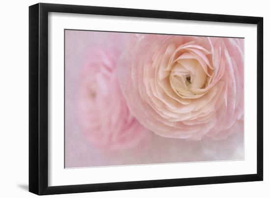 Soft Pink Flower Bouquet-Cora Niele-Framed Photographic Print