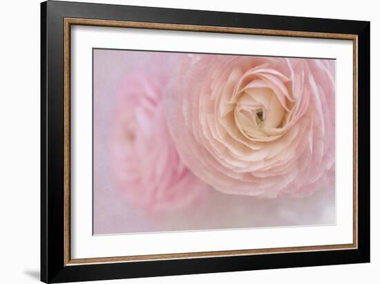 Soft Pink Flower Bouquet-Cora Niele-Framed Photographic Print