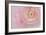 Soft Pink Flower Bouquet-Cora Niele-Framed Photographic Print