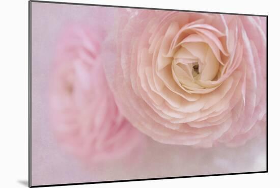 Soft Pink Flower Bouquet-Cora Niele-Mounted Photographic Print