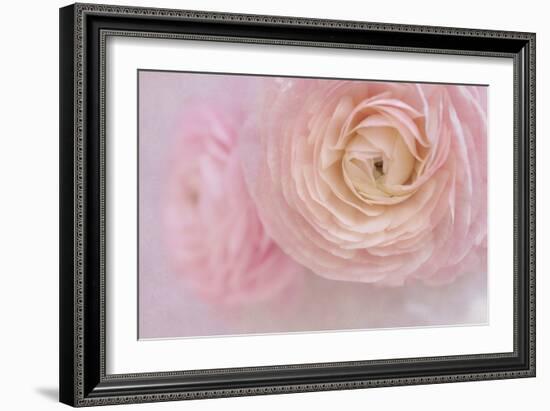 Soft Pink Flower Bouquet-Cora Niele-Framed Photographic Print