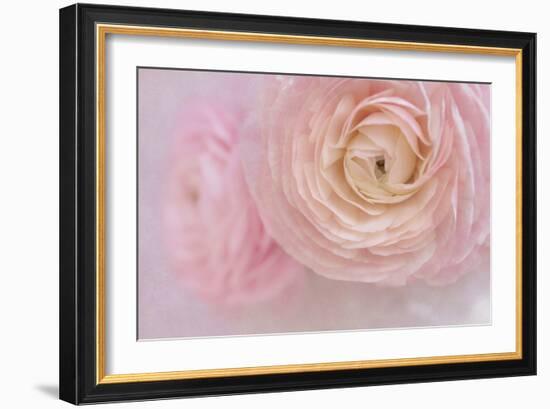 Soft Pink Flower Bouquet-Cora Niele-Framed Photographic Print