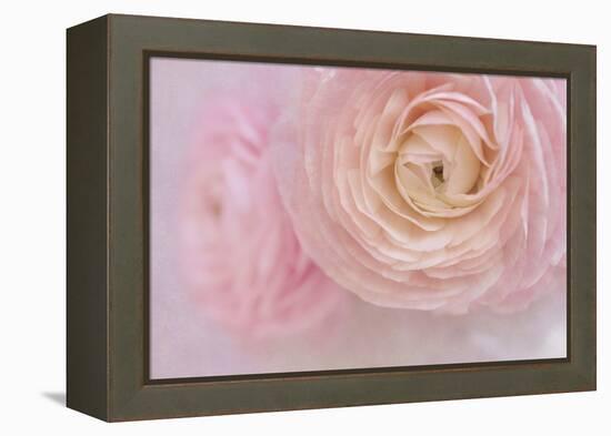 Soft Pink Flower Bouquet-Cora Niele-Framed Premier Image Canvas