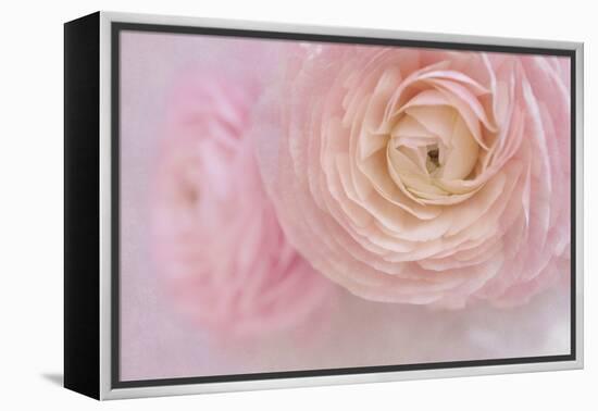 Soft Pink Flower Bouquet-Cora Niele-Framed Premier Image Canvas