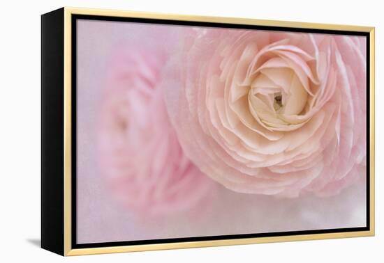 Soft Pink Flower Bouquet-Cora Niele-Framed Premier Image Canvas