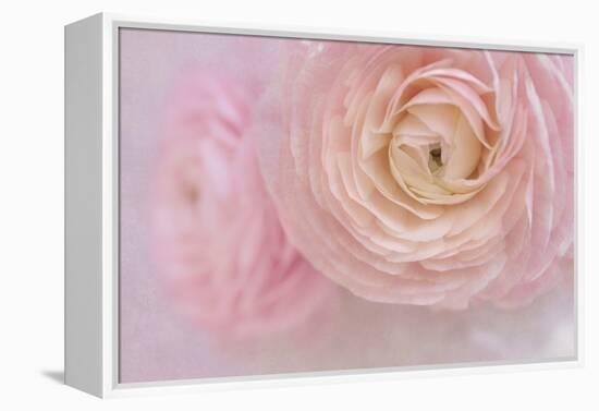 Soft Pink Flower Bouquet-Cora Niele-Framed Premier Image Canvas