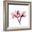 Soft Pink Orchid-Albert Koetsier-Framed Art Print