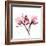 Soft Pink Orchid-Albert Koetsier-Framed Art Print