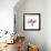 Soft Pink Orchid-Albert Koetsier-Framed Art Print displayed on a wall