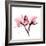 Soft Pink Orchid-Albert Koetsier-Framed Art Print