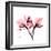 Soft Pink Orchid-Albert Koetsier-Framed Art Print