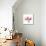 Soft Pink Orchid-Albert Koetsier-Mounted Art Print displayed on a wall