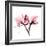 Soft Pink Orchid-Albert Koetsier-Framed Art Print