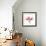 Soft Pink Orchid-Albert Koetsier-Framed Art Print displayed on a wall