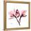 Soft Pink Orchid-Albert Koetsier-Framed Stretched Canvas