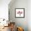 Soft Pink Orchid-Albert Koetsier-Framed Stretched Canvas displayed on a wall