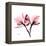 Soft Pink Orchid-Albert Koetsier-Framed Stretched Canvas