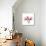 Soft Pink Orchid-Albert Koetsier-Framed Stretched Canvas displayed on a wall