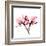 Soft Pink Orchid-Albert Koetsier-Framed Art Print