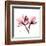 Soft Pink Orchid-Albert Koetsier-Framed Art Print