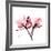 Soft Pink Orchid-Albert Koetsier-Framed Giclee Print