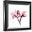 Soft Pink Orchid-Albert Koetsier-Framed Giclee Print