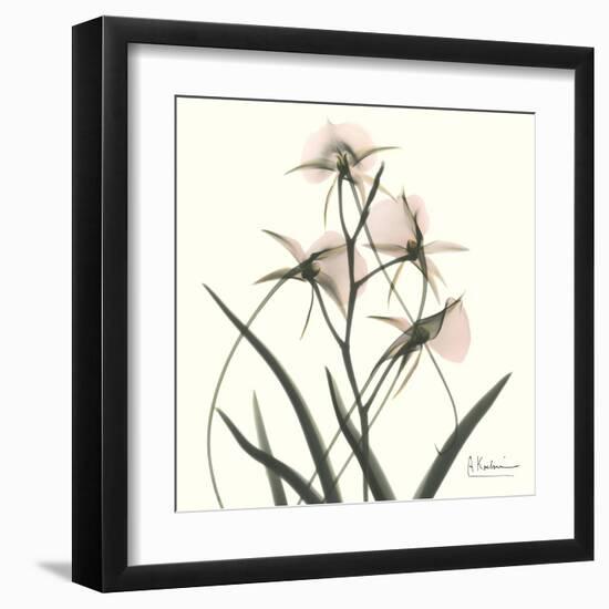 Soft Pink Orchids-Albert Koetsier-Framed Art Print