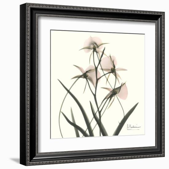 Soft Pink Orchids-Albert Koetsier-Framed Art Print