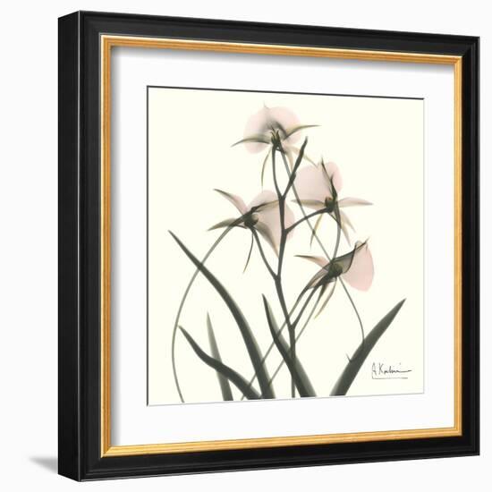 Soft Pink Orchids-Albert Koetsier-Framed Art Print