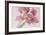 Soft Pink Tulip-Cora Niele-Framed Photographic Print