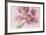 Soft Pink Tulip-Cora Niele-Framed Photographic Print