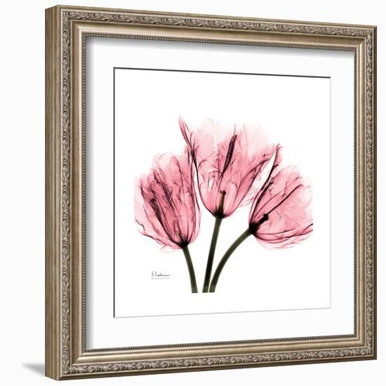 Soft Pink Tulips-Albert Koetsier-Framed Art Print