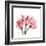 Soft Pink Tulips-Albert Koetsier-Framed Art Print