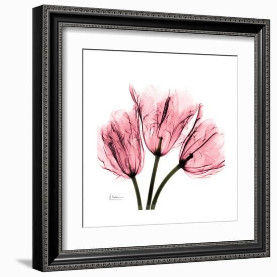 Soft Pink Tulips-Albert Koetsier-Framed Art Print