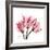 Soft Pink Tulips-Albert Koetsier-Framed Art Print