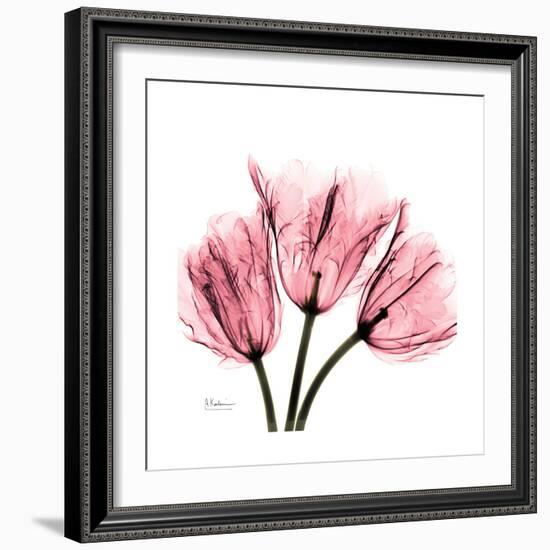 Soft Pink Tulips-Albert Koetsier-Framed Art Print