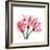 Soft Pink Tulips-Albert Koetsier-Framed Art Print