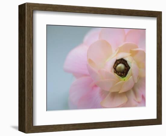 Soft protection-Heidi Westum-Framed Photographic Print