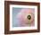 Soft protection-Heidi Westum-Framed Photographic Print