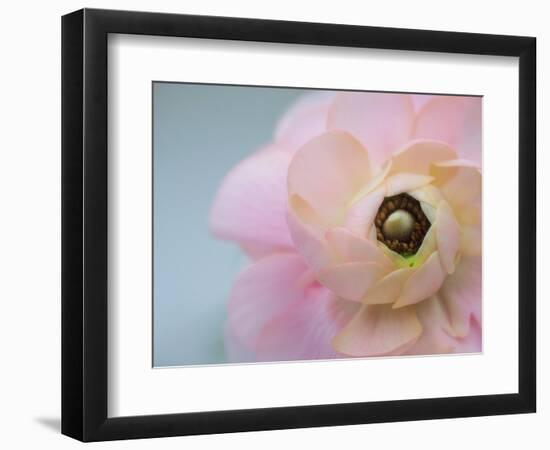 Soft protection-Heidi Westum-Framed Photographic Print